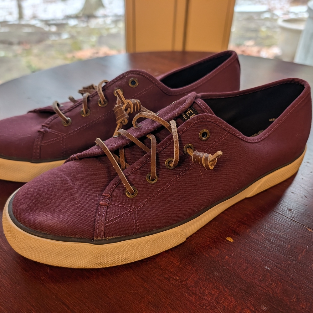 Men's Purple Canvas Sneakers